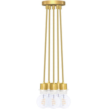 Load image into Gallery viewer, FALSE