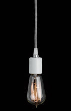 Load image into Gallery viewer, Edison Bulb