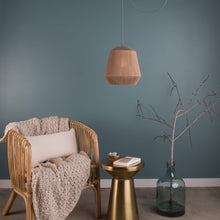 Load image into Gallery viewer, AiO Single Port Pendant Light