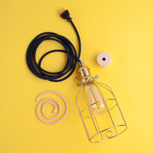 Load image into Gallery viewer, Franklin Bulb
